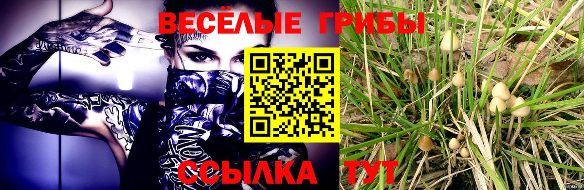 Галлюциногенные грибы мухоморы Новый Уренгой